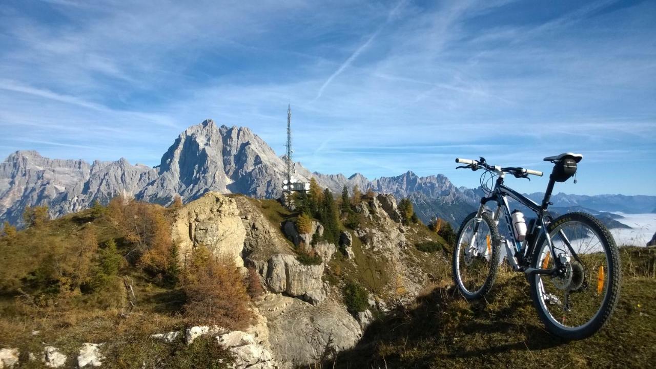 Belvedere Dolomiti